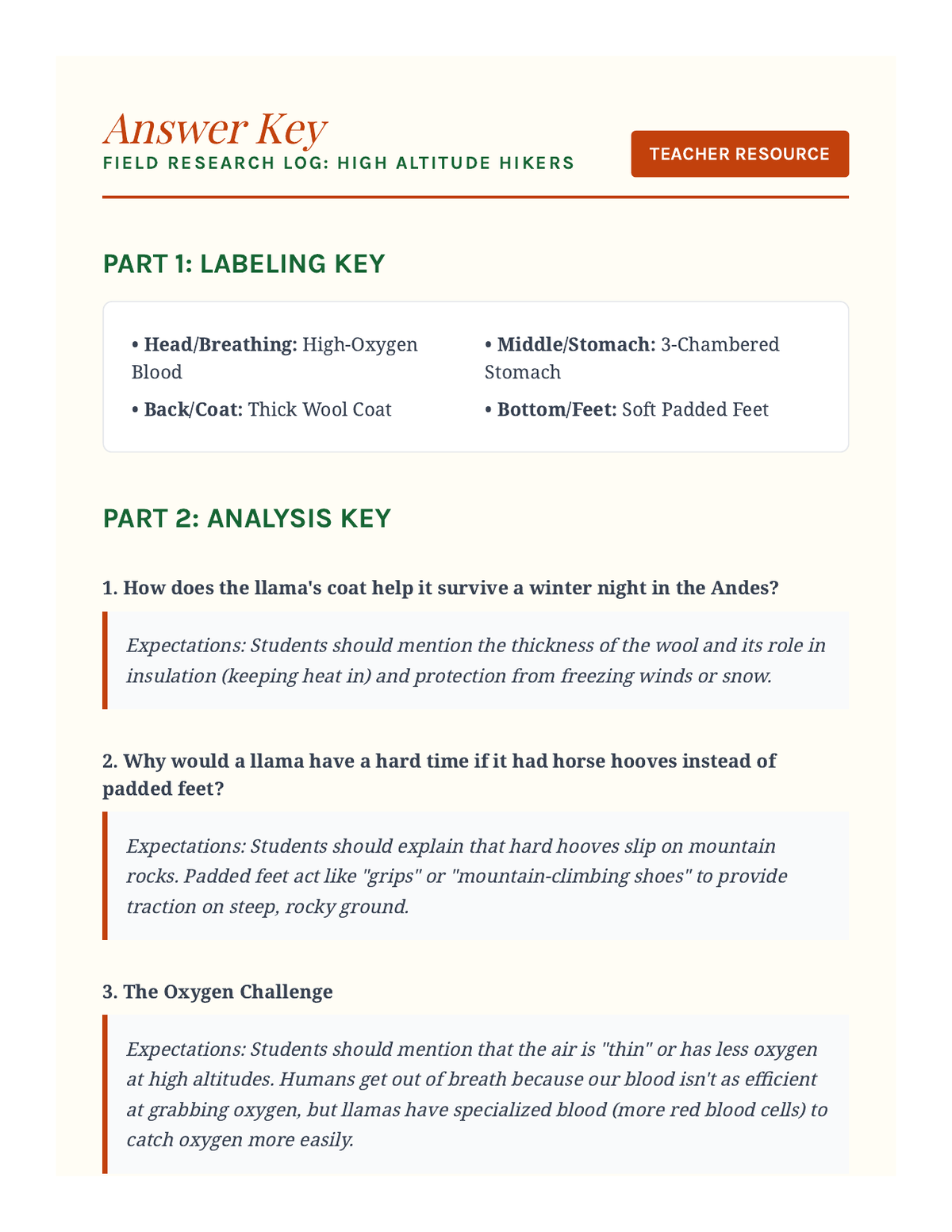 Mountain Marvels Answer Key page 1