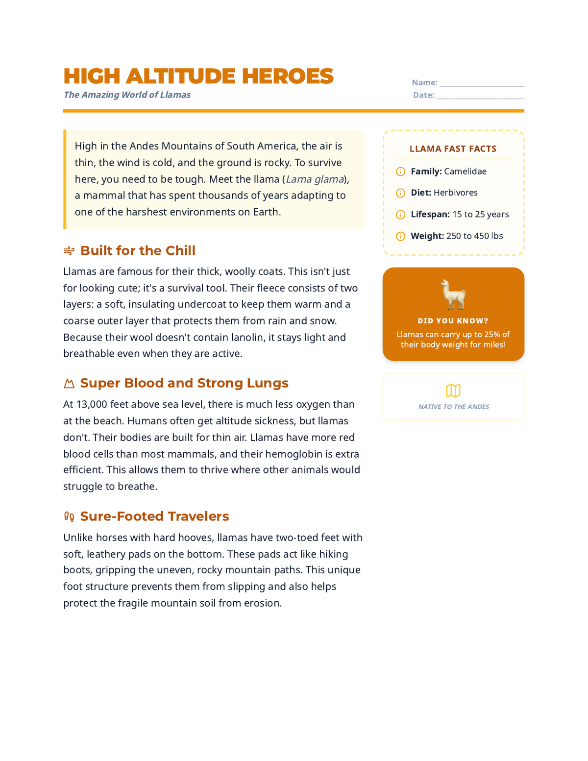 High Altitude Heroes Worksheet page 1