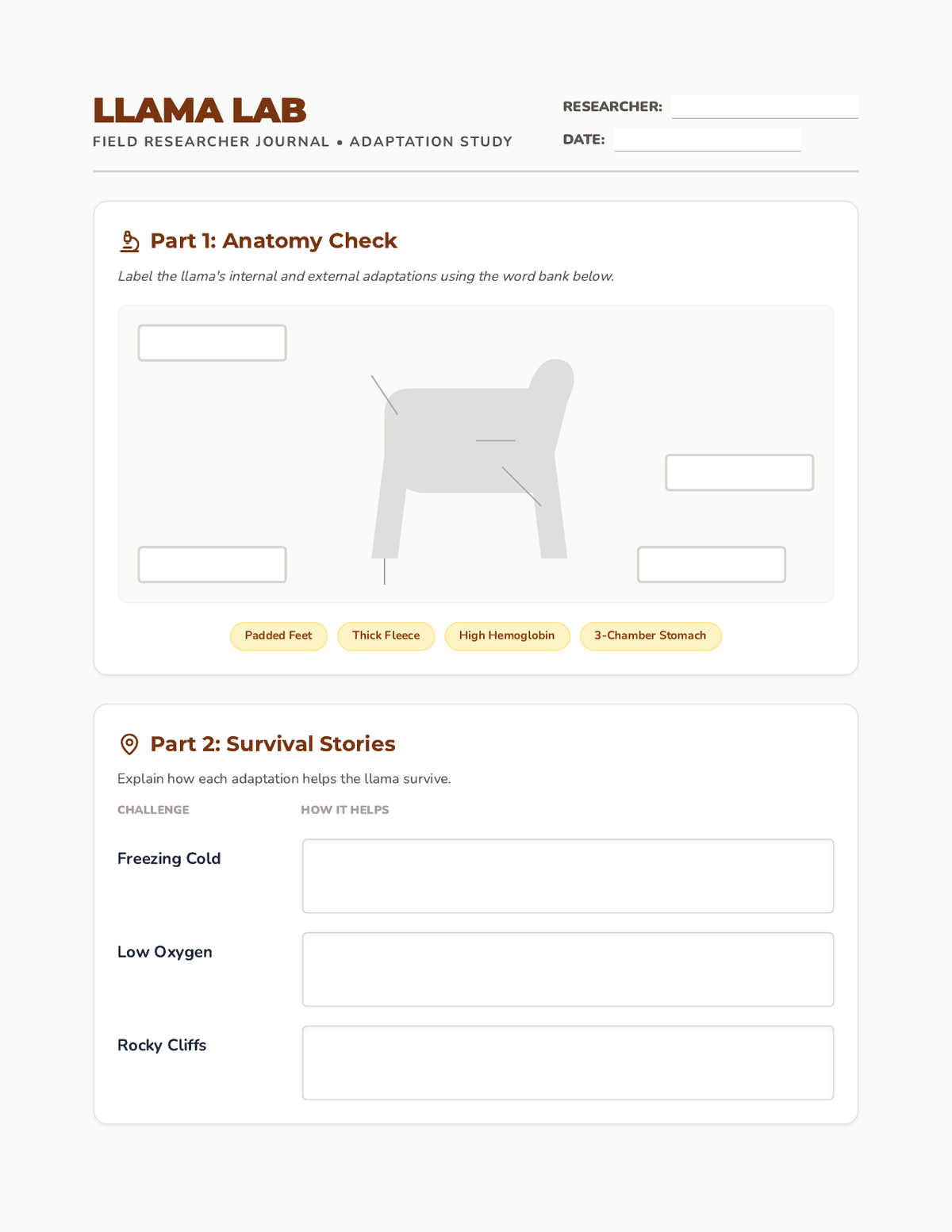 Llama Lab Worksheet page 1