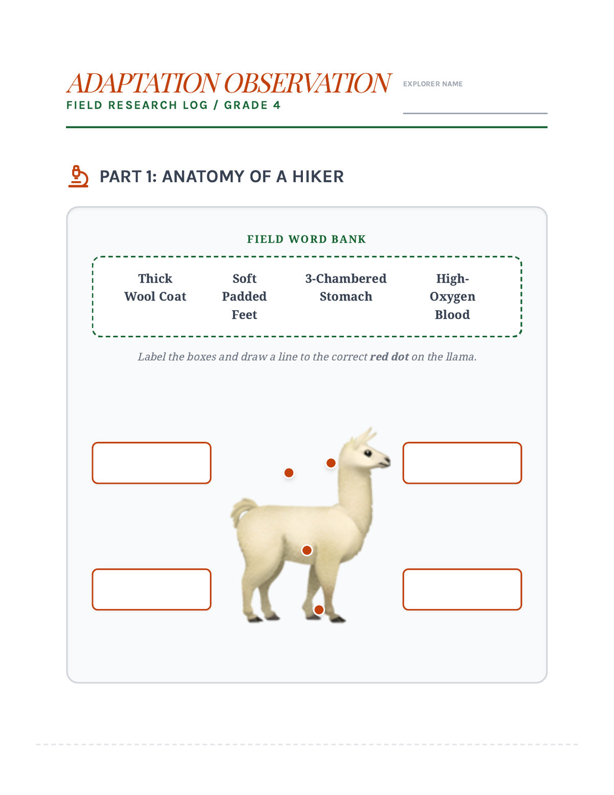 Adaptation Observation Worksheet page 1