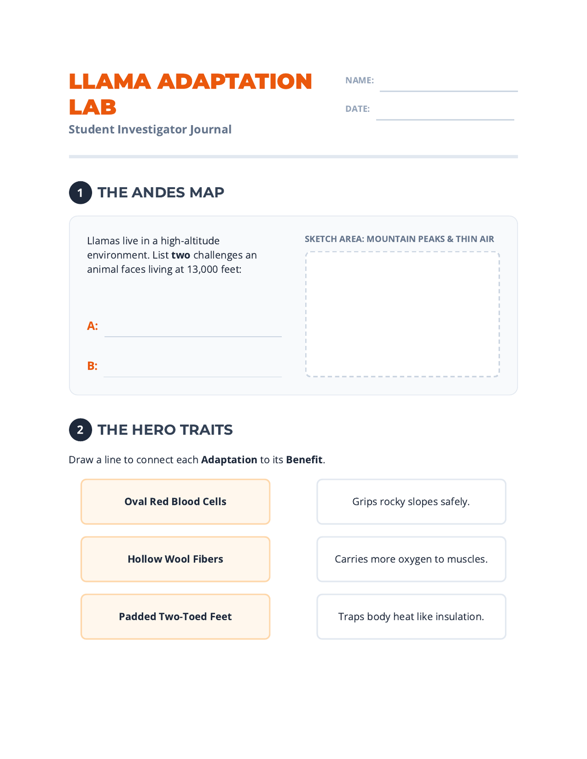 Llama Adaptation Lab Worksheet page 1