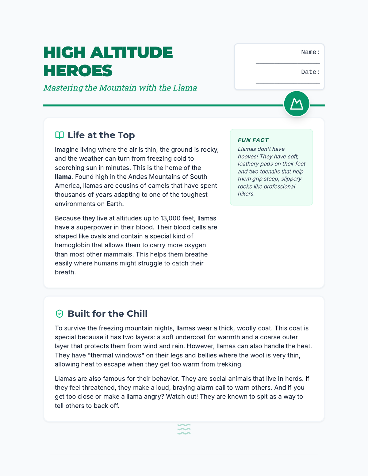High Altitude Llamas Worksheet page 1