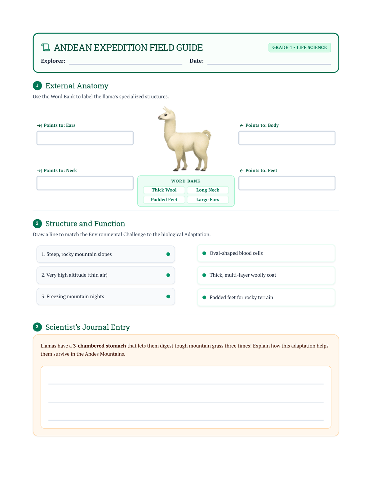 Llama Field Guide Worksheet page 1